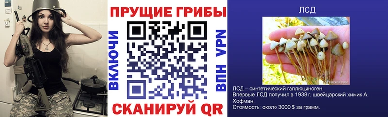 Галлюциногенные грибы ЛСД ОМГ ОМГ tor Новая Ладога купить наркоту