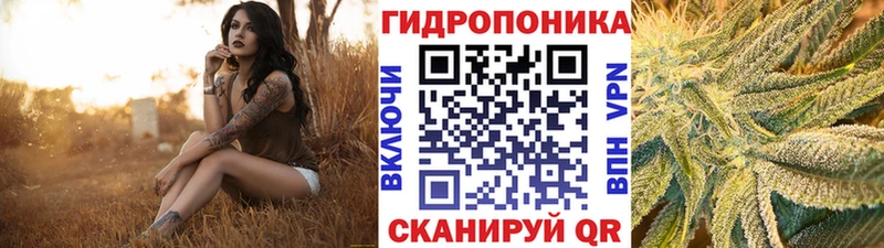 ОМГ ОМГ ссылка  Новая Ладога  Бошки марихуана SATIVA & INDICA  что такое наркотик 